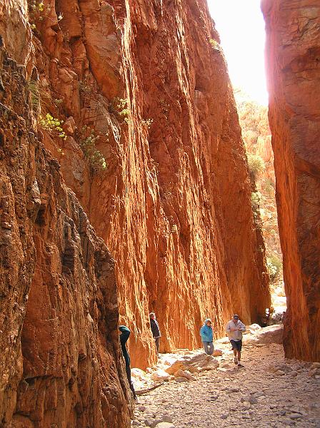 Standley Chasm Mittags.jpg - Standley Chasm ist  die eindrucksvollste Schlucht der MacDonnell Ranges. Benannt wurde die Schlucht nach Ida Standley, der ersten Lehrerin in Alice Springs.